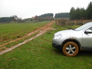 Muddy car, safely parked on the grass.