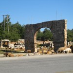 Old walls and flocks by the roadside