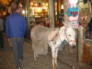 Donkey making deliveries in souk (Aleppo Syria)