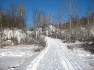 Scott skiing in Gatineau park on a bright sunny day