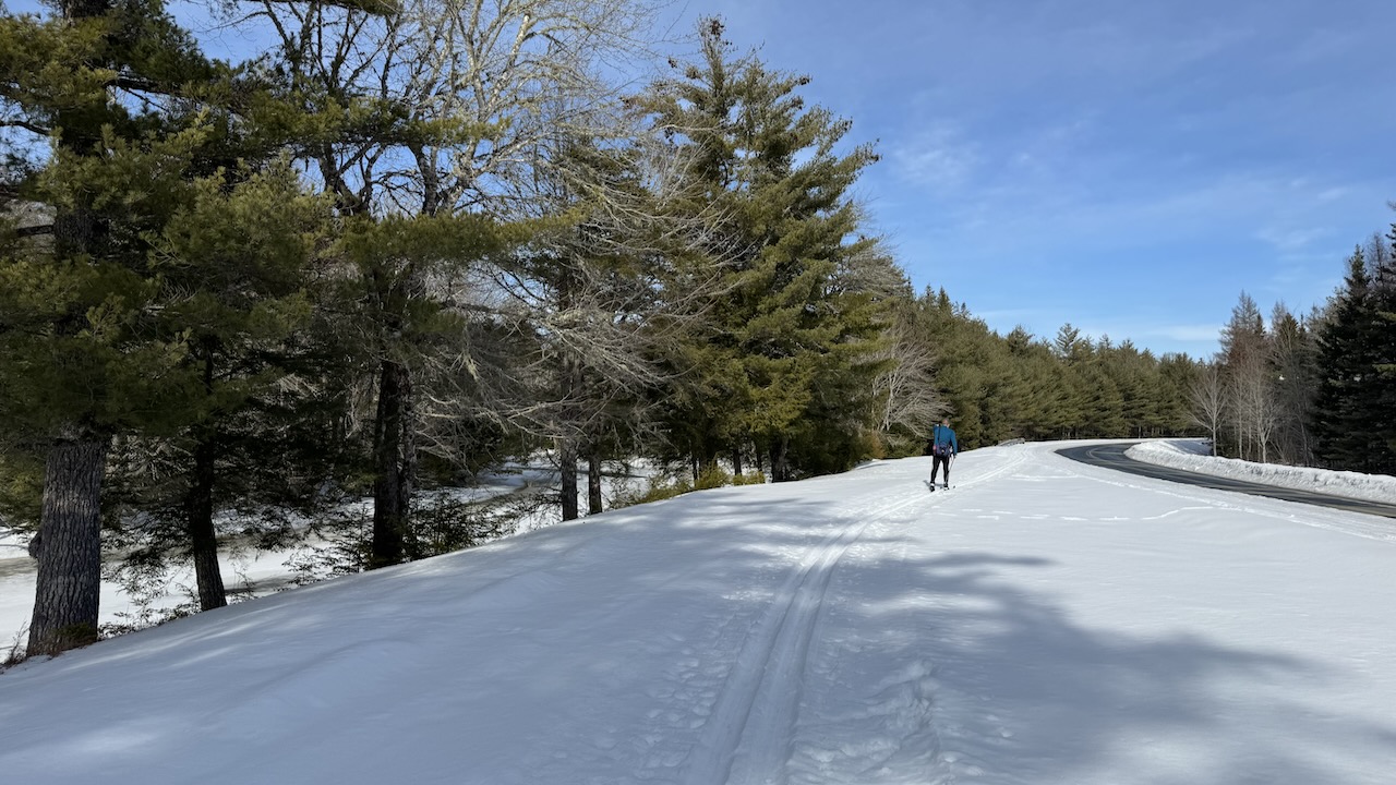 A lone cross?country skier glides along parallel tracks on a bright, snowy verge next to a curving road, bordered by tall evergreens and leafless trees beneath a clear blue sky.